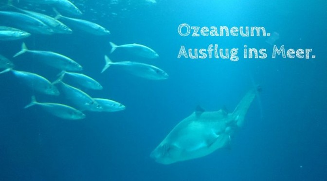 Ozeaneum. Ausflug ins Meer.