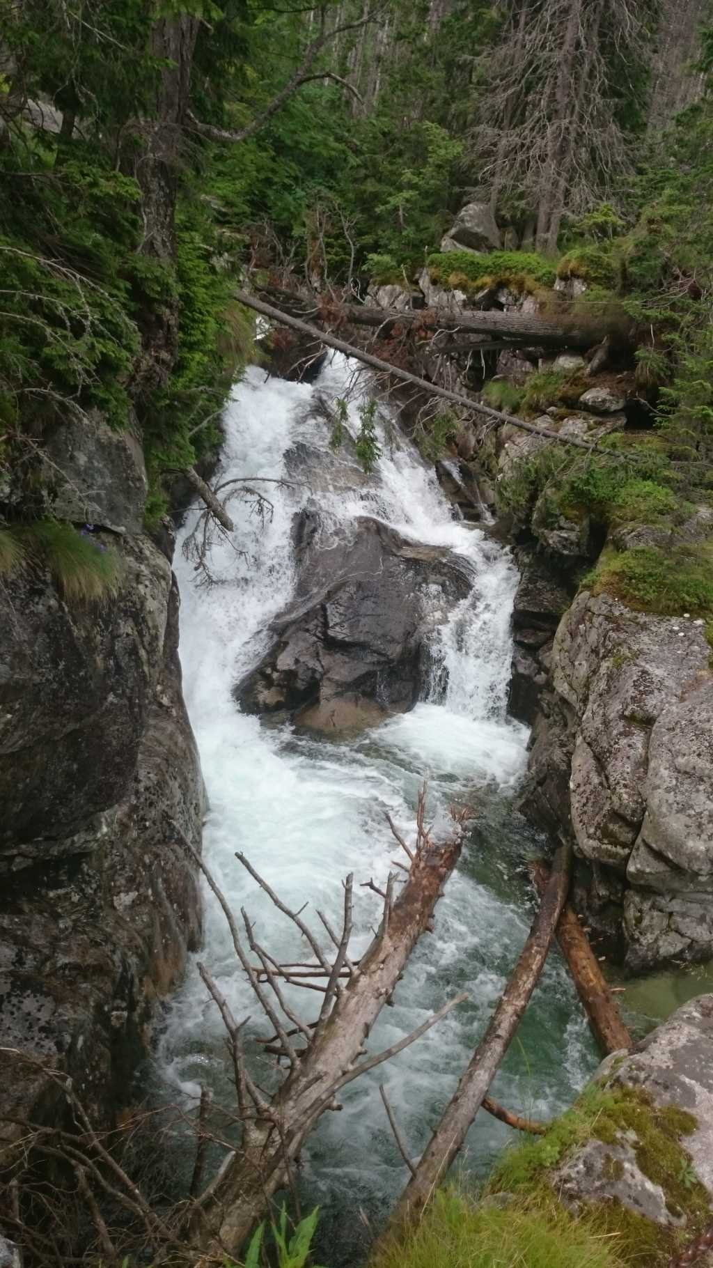 hohe tatra slowakei gebirgsbach