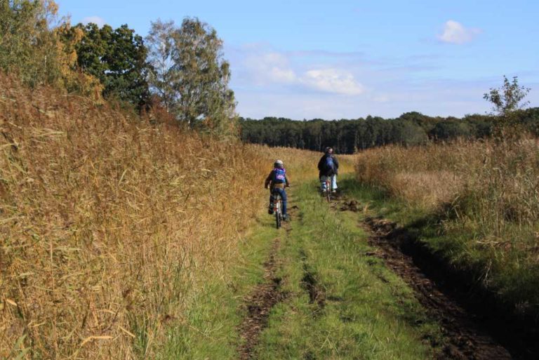 Die schönsten Wege durchs Moor 19 Tipps für ganz