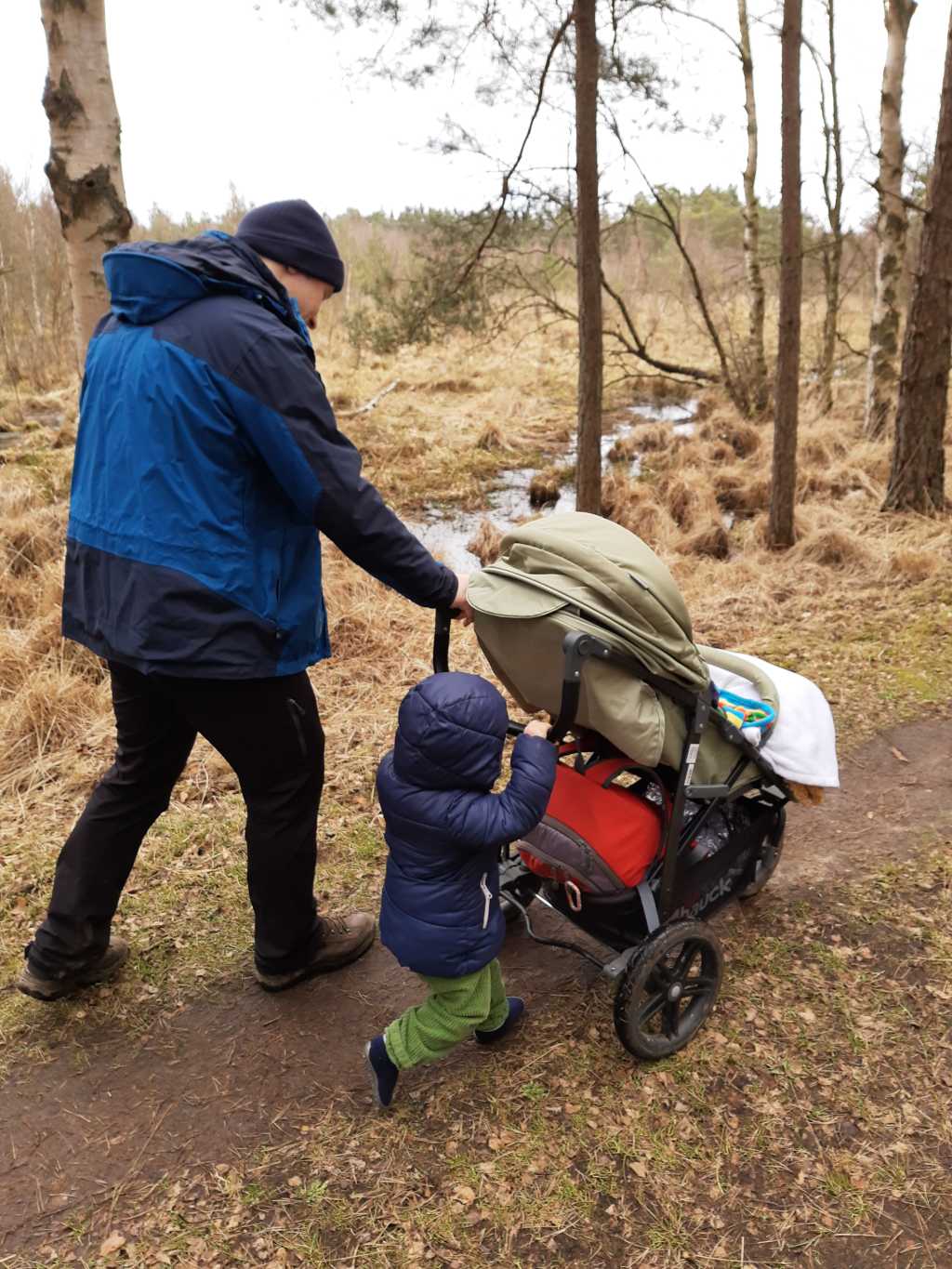 ribnitzer großes moor mit kinderwagen