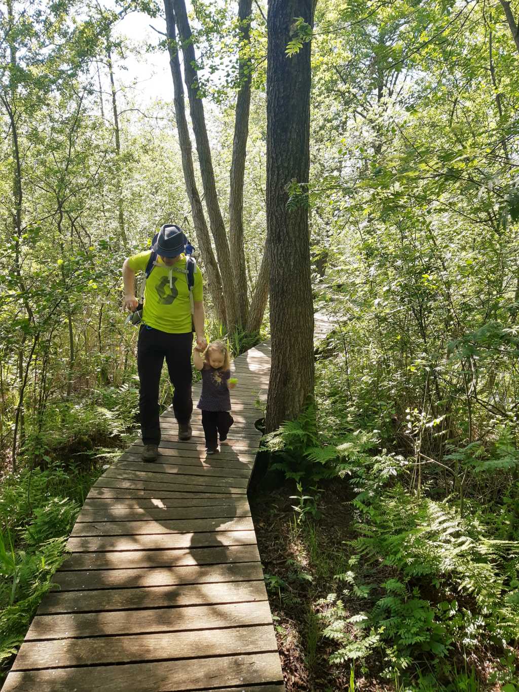 steinhuder meer totes moor erlebnisweg mit kind