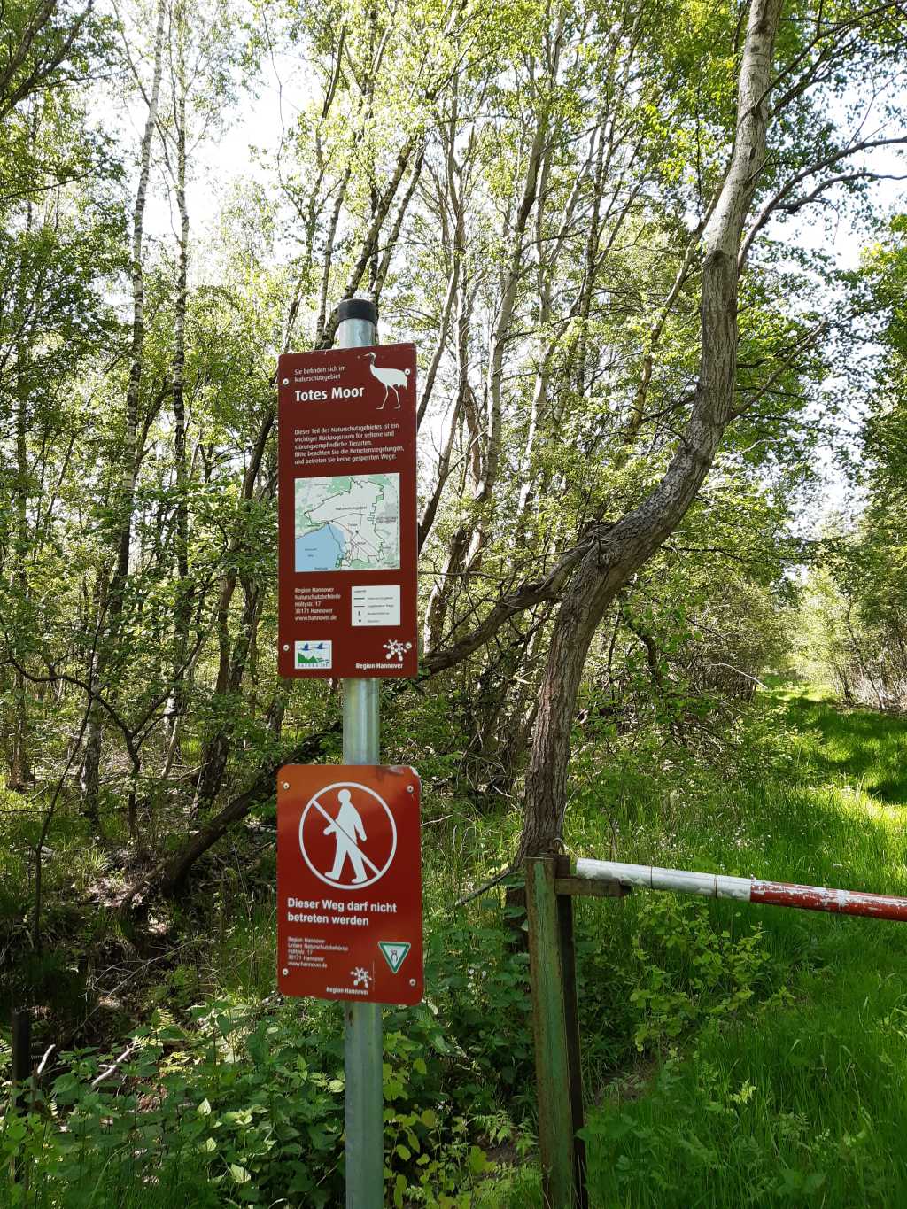 steinhuder meer totes moor naturschutzgebiet