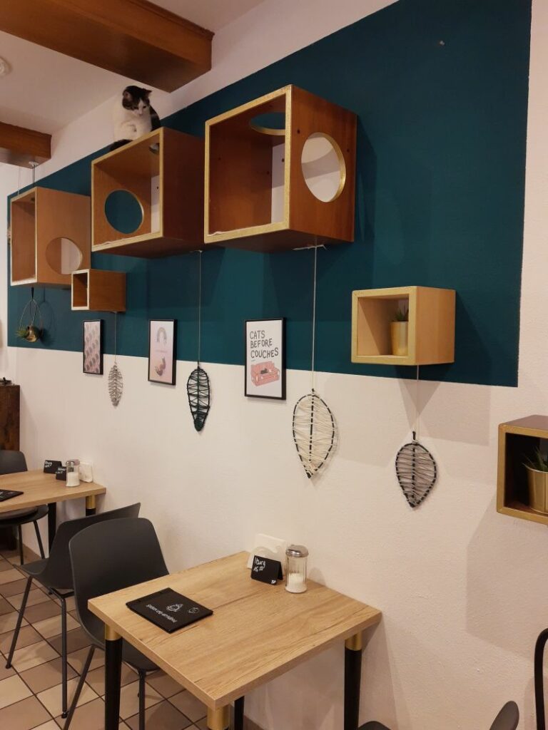 Katzencafé Miezhaus: Kinderfreundliches Café in Bielefeld - family4travel