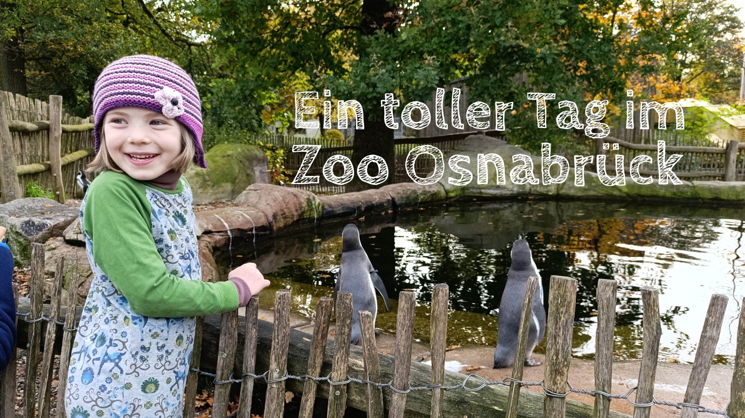 Zoo Osnabrück mit Kind, Pinguine